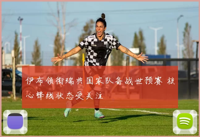 伊布领衔瑞典国家队备战世预赛 核心锋线状态受关注