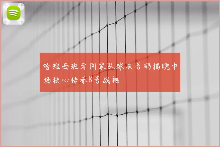 哈维西班牙国家队球衣号码揭晓中场核心传承8号战袍