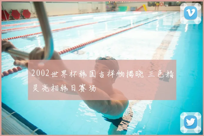 2002世界杯韩国吉祥物揭晓 三色精灵亮相韩日赛场