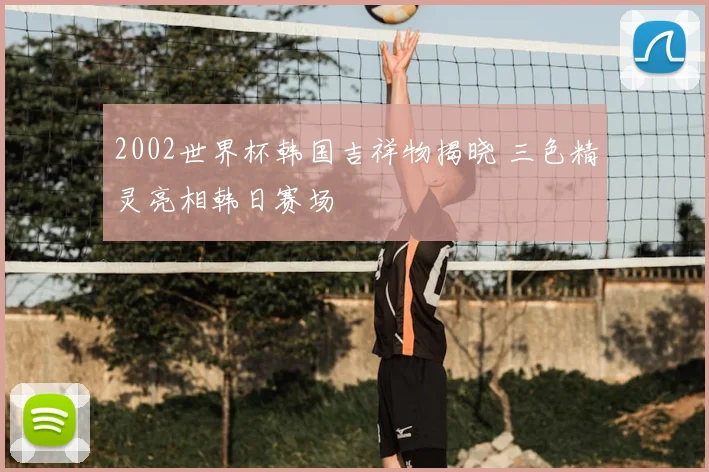 2002世界杯韩国吉祥物揭晓 三色精灵亮相韩日赛场